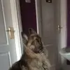 Donna Ingham - @donna.ingham - TikTok