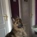 Donna Ingham - Facebook