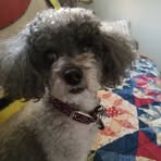 Donna Inners - Facebook