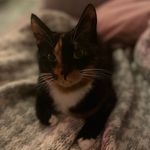 Donna Innes - @donna_innes124 - Instagram