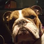 donna - @donna_interrante - Instagram