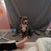Donna Ireland - Facebook