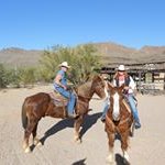 Donna Irish - @donnairish1961 - Instagram