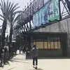 Donna Isabel - @31027927186 - TikTok