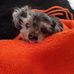 Donna Iverson - Facebook