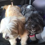 Donna Iverson - @dliverson3 - Instagram