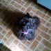 Donna Iverson - Facebook