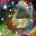 Donna Ivester - Facebook