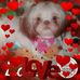 Donna Ivester - Facebook