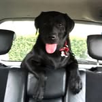 Donna Jameson - @craftd62 - Instagram