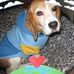 Donna Janssen - Facebook