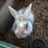Donna Janssen - @donny207 - TikTok