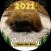 Donna Saylor-Janssen - @user9966900683543 - TikTok