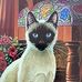 Donna Kalinowski - Facebook