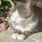 Donna Kalinowski Orlowsky - @donnaorlo - Instagram