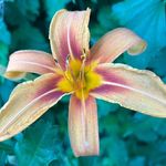 Donna Beers Keefer - @dbkeef526 - Instagram