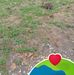 Donna Keene - Facebook