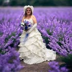Donna Keener - Facebook