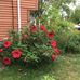 Donna Keil - Facebook