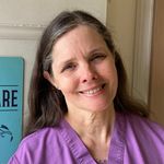 Donna Kelleher - @petdocdonna - Instagram