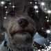 Donna Kemp - Facebook
