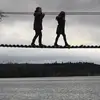 donnakemp05 - @donnakemp05 - TikTok