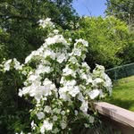 Donna Kendrick Barth - @donna_kendrickbarth - Instagram