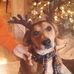 Donna Kendrick Barth - Facebook