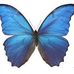 Donna Kenyon - Facebook