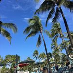 Donna Kenyon - @dmkkenyon - Instagram