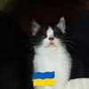 Donna Kenyon - @donna.kenyon - TikTok