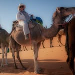Donna Keough 🇨🇦 - @letyourselfgo_travel - Instagram