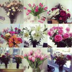Donna Kerns - @tearcolumnforlife - Instagram