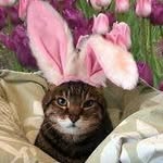 Donna Kerrigan - @poppydonna09 - Instagram