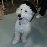 Donna Kinnear Woytas - @stella_woytas - Instagram