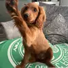 donnakinnear1967 - @donnakinnear1967 - TikTok