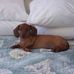 Donna Kinsey - Facebook