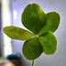 Donna Madl-Kirkpatrick - Facebook
