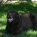 Donna Kirnan-Blasi - Facebook