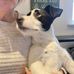 Donna Kirwin - Facebook