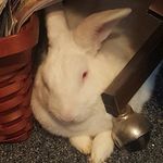 Donna Knott Rooney - @donna_rooney_ - Instagram