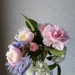 Donna Knudson - @donna_knudson - Instagram