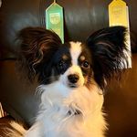 Donna Knudson - @donna_darwing - Instagram