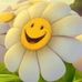 Donna Koon - Facebook