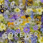 Donna Kovacs - @angeld2756 - Instagram