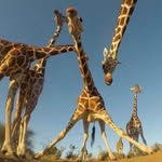 Donna L. Kranz - @donper98 - Instagram