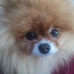 Donna Kraus - @d_c_m_kraus - Instagram