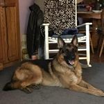 Donna Kraus - @dlkraus - Instagram
