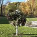 Donna Kunkle - Facebook