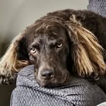 Donna LaBarge - @donnamayl - Instagram